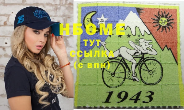 твердый Надым