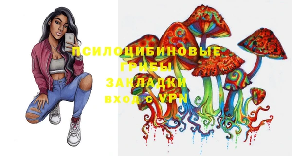 твердый Надым