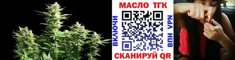 Купить закладки  Светогорск  ТГК гашишное масло 